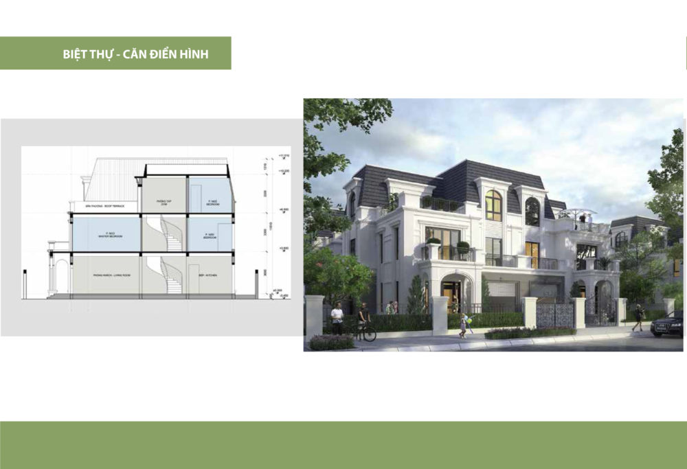 thiet-ke-can-dien-hinh-biet-thu-du-an-green-park-mong-cai