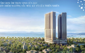 CHUNG CƯ THE RUBY HẠ LONG