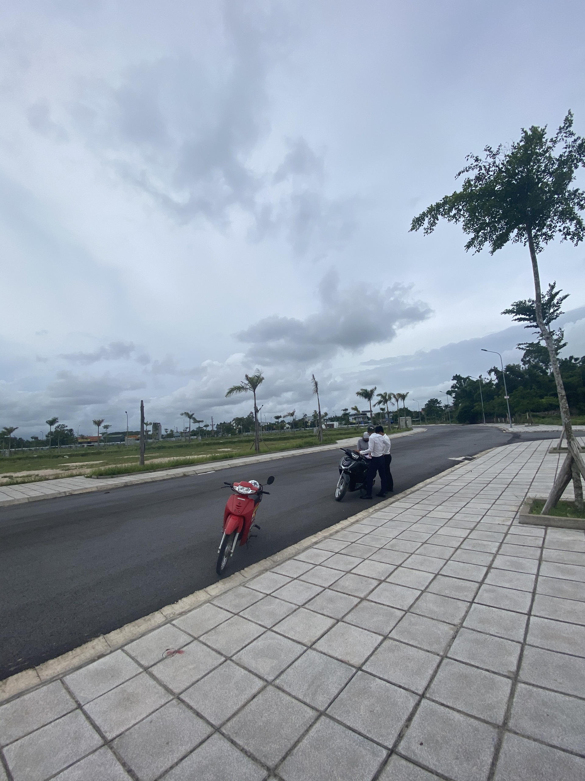 hình ảnh thực tế