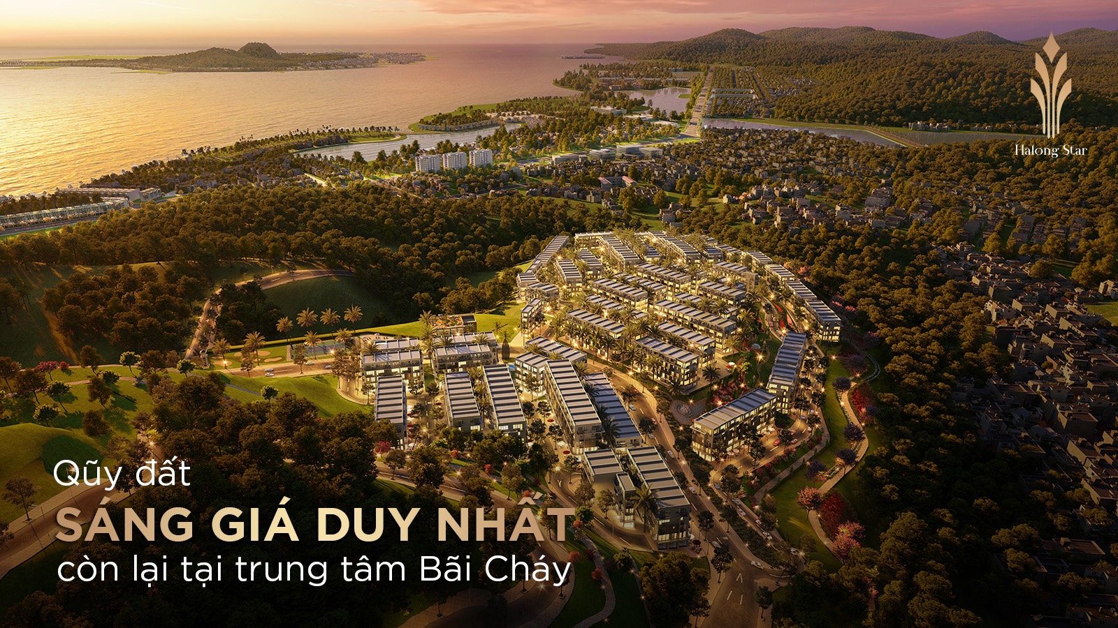 tổng thể dự án